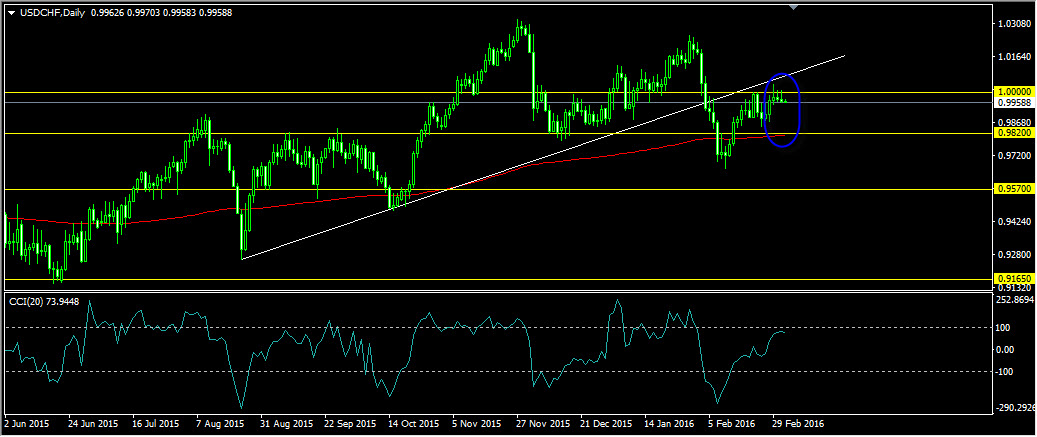 Polecani brokerzy forex