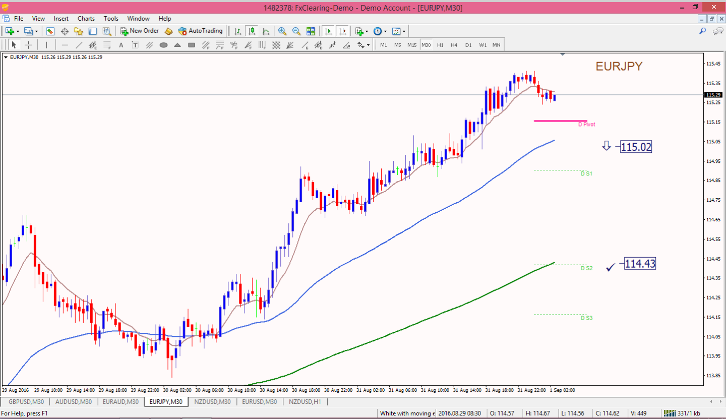 I am looking for forex traders