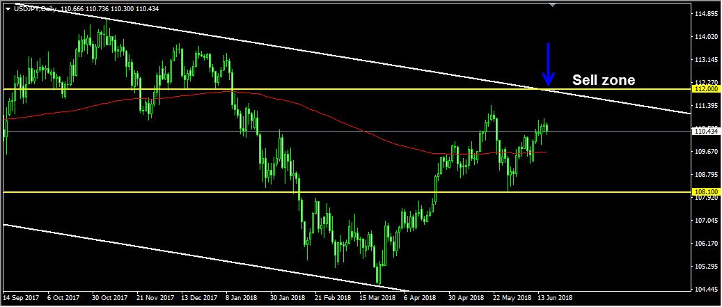 Forex instructor